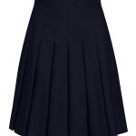Haberdashers' Borough Academy Navy Knife Pleated Skirt