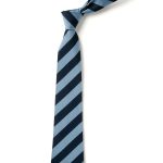 HARRIS PRIMARY ACADEMY SHORTLANDS TIE